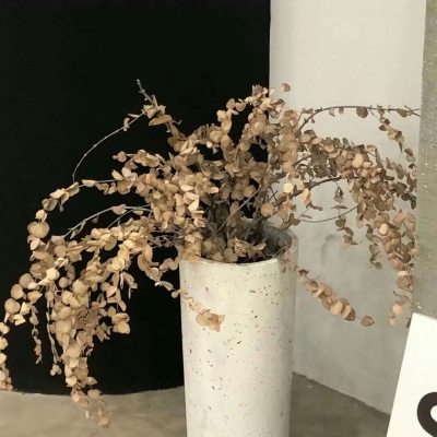 颍东FurryQQ群介绍